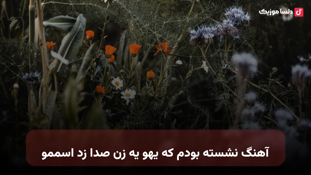  نشسته بودم که یهو یه زن صدا زد اسممو با صدای زن